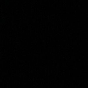 Meet your Posher, Aleena